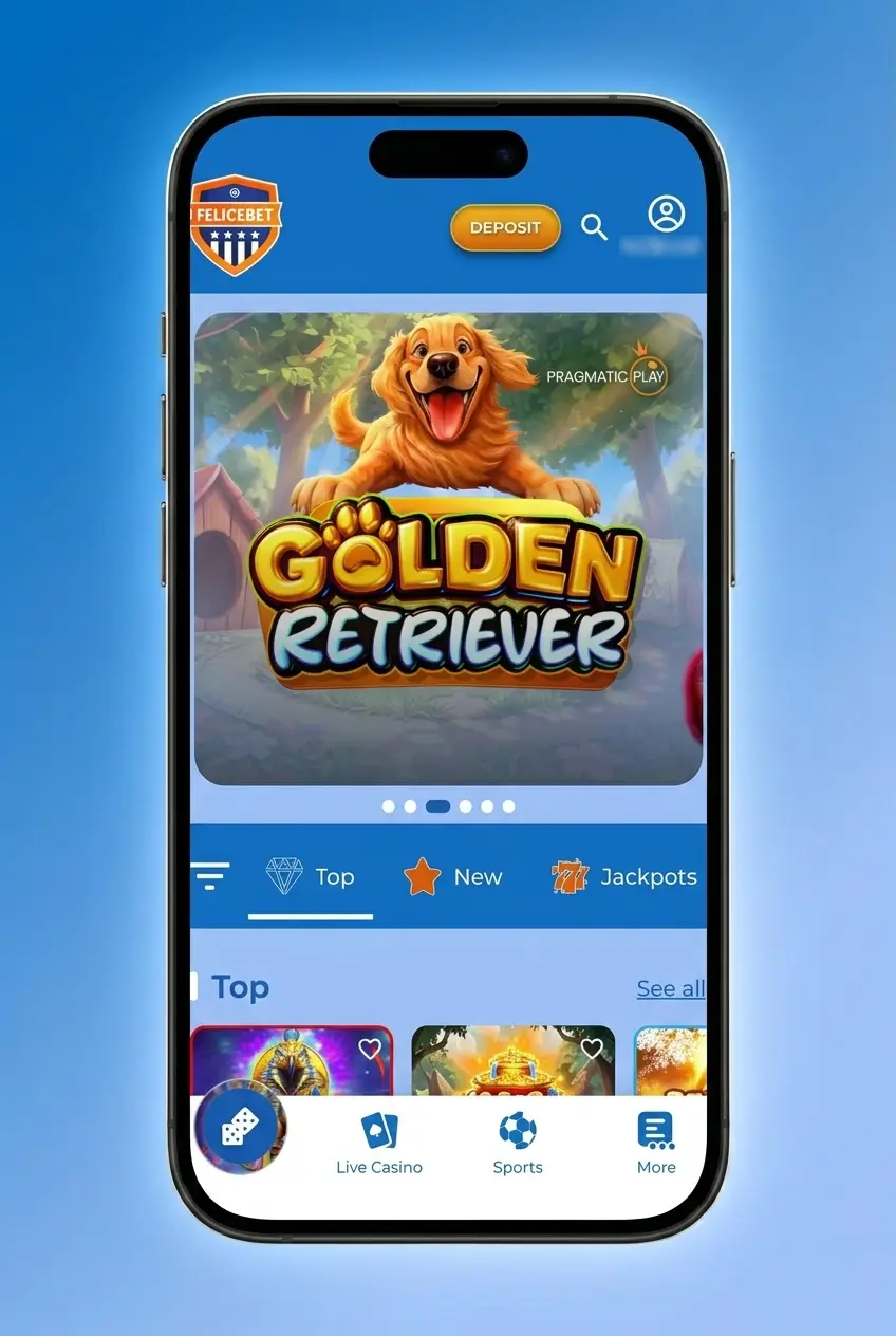 Step-by-step guide showing how to deposit funds on Felicebet using the Cashier menu and payment options